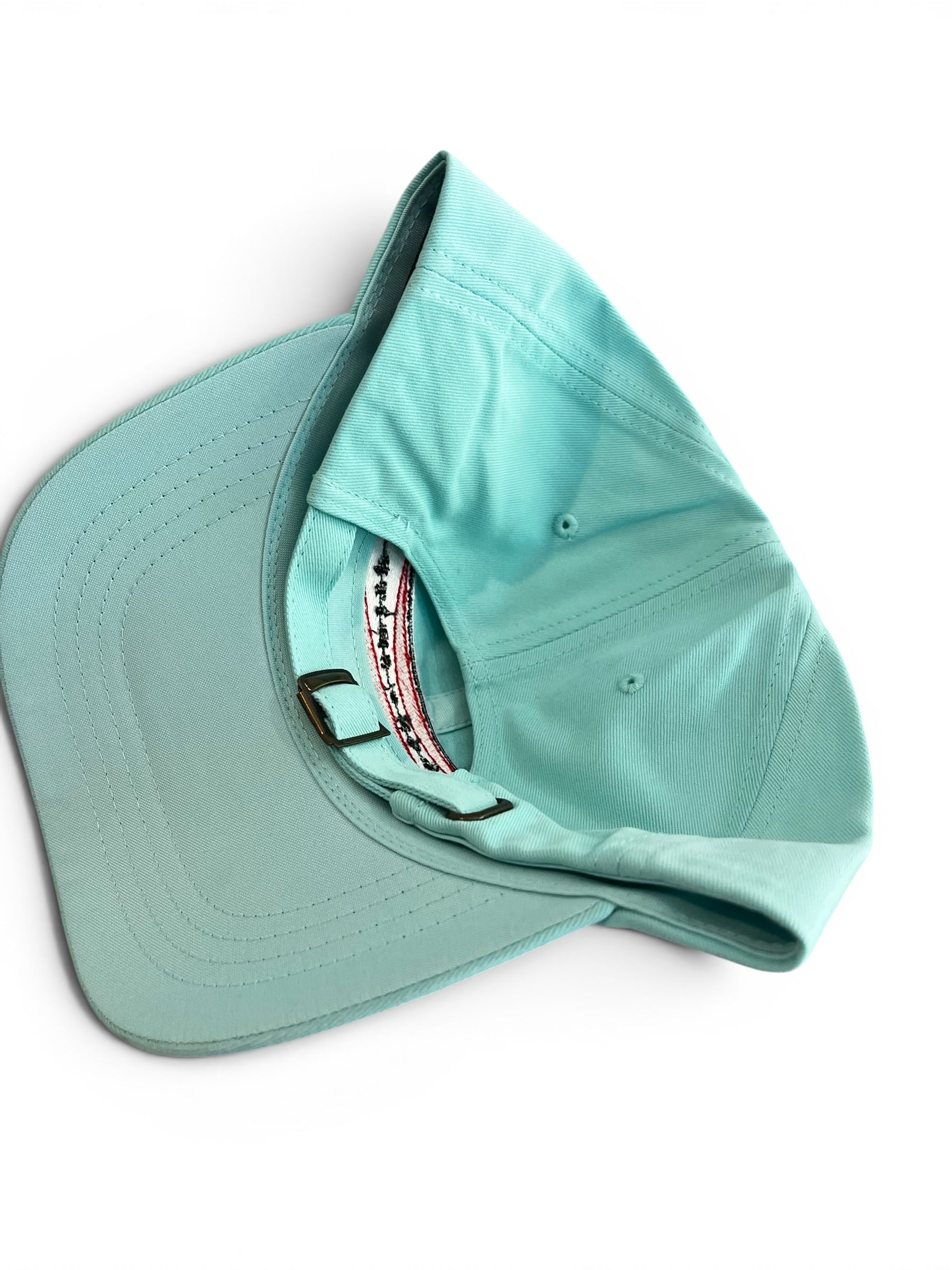 Original Bar Logo Adjustable Dad Hat - Aqua