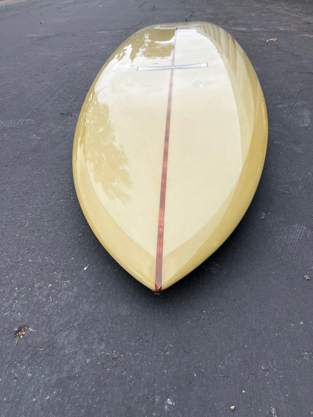 9’6 # 22139 21804 Magic Fish Glider