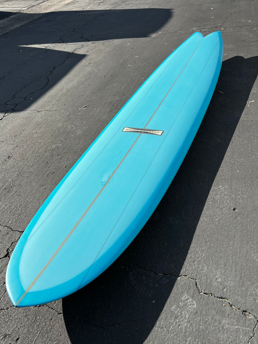 10'0 #22137 LG Swallow Glider